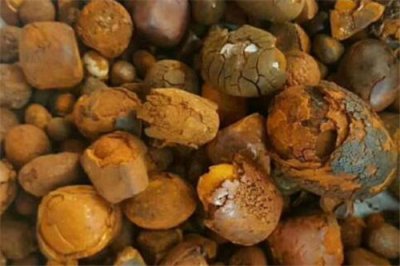 ������ʲô�������ϵ��ĸ���λ ����¹��һ�����ٷ�����