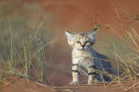 ɳèΪʲô��Ҫ����� ���ʺ�����ԭ��������