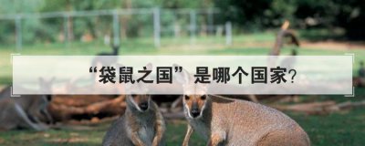 袋鼠之国是哪个国家 生产袋鼠的国家