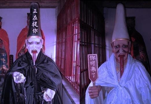 �����������з����� �ܽ���� �����û�Ͷ̥