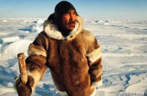 因纽特人属于哪个国家 不属于任何国家生活在北极地区