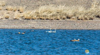 ������ʲô�� ��һ��Ǩ���Ժ���