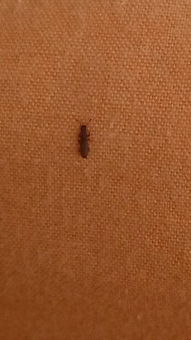 ��ʭ����ʲô ���¸���ɹ�͸�����