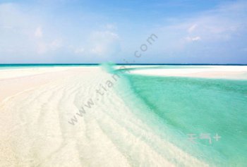 ��ɳȺ����ôȥ �����ɻ��������Ǳ߸��ŵ��ص������Ű����ϵ�