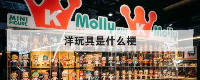 洋玩具是什么意思 国外小玩具叫什么名字