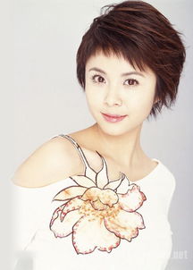 杨若兮老公是谁 两人之间现在的感觉真的非常的好