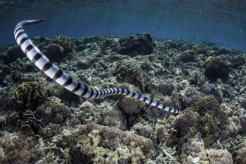 �����ж��� �����ж��κκ��߶��ж�