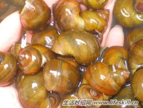 ������ôϴ ����ˮ�ﷴ���Ĵ�ϴ