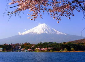 富士山是私人的吗 所属权是德康家族是私人的