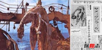 �й����������� �ձ�1977�꺣��ʬ���¼�