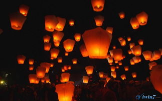 �ſ��������ĸ����� ũ��ʮ�弴��Ԫ���ڷſ�����