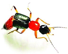 ���������������� ������治���·��ֵĳ���