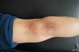 ���������������� ������治���·��ֵĳ���