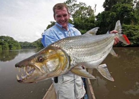 ����ˮ���������Ƭ ����ˮ���������