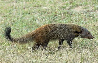 è��Ϊʲô���¶��� �Ը�������Ⱥ�����֮