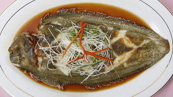 ��ɳ���ǵ�ˮ�㻹�Ǻ�ˮ�� ��ɳ���ǵ�ˮ��ֳ������