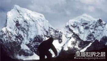 珠峰上的灵异事件 神秘生物和登山者亡魂