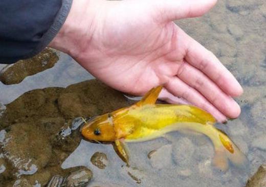 ������ʲôʱ��ȥ��� һ���ļ����ɷ�����