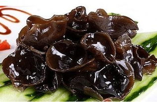 ľ����ҹ���ܳ���  �����Ժ󲻽����