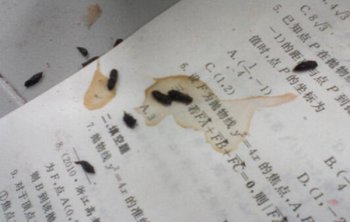 ����ʺ�����ʺ��ô���� ���������к���