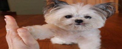 five��ʲô�� ���five