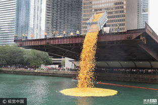 ֥�Ӹ�ʱ�����ڼ��� ֥�Ӹ�������12��