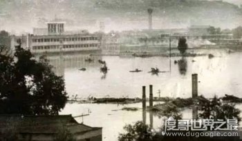 中国八三年蛇灾真相 发现大量野蛇聚集在一起(以讹传讹)