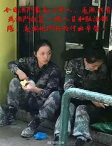 ʯ��������������� ��Ҳֻ��һ���²����