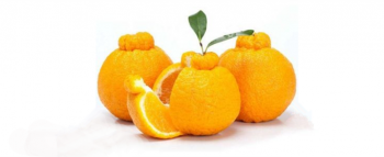 ���Ϊʲô�в�֪�� ��֪�����ֵ�����