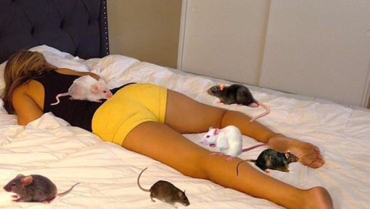 ����������˯����ȫ�� �����Σ����������