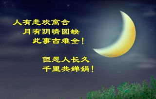 千里共婵娟上一句是什么 是苏轼哲理词的代表作