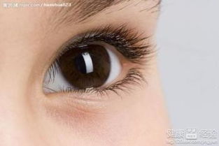 �۾��������������ָܻ� ���ܳ�ʱ������Ի����ֻ�