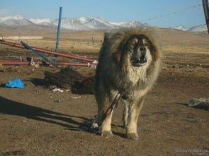 ��������ô�ӽ������� ���ɲ����ӽ�����