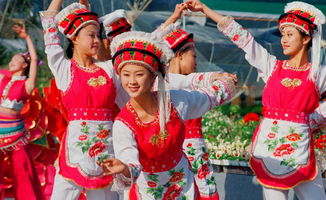 白族的传统节日是 火把节、三月街(民族节)、冬至