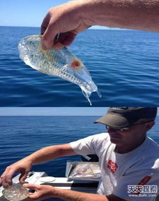 �׺�����ʲô���� ������ȫ͸���ĺ����޼�׵����