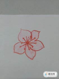 桃花简笔画怎么画 桃花枝怎么画简单又漂亮