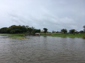 ��������ʲô��˼ ���ݾ��������������ǳ������