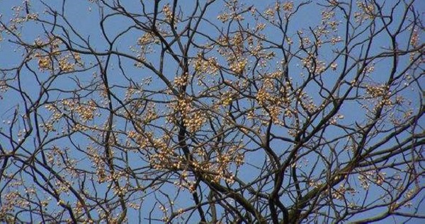 ������ķ�ˮ�������� ������һ��������˼������