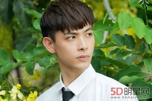 �����Ů������˭ ���������ӫĻ����