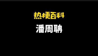 潘周聃是什么梗 这个梗出自《最强大脑》