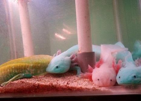 �������ʲô���Ŀ� ���ǿ�������������