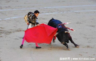 西班牙斗牛为什么用红色的布 并不是牛对红色敏感