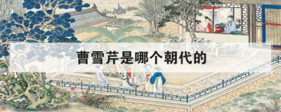 ��ѩ�����ĸ������� ��¥�ε������ĸ�����