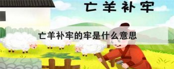 �����ε�����ʲô��˼ ������ ��ȷ����һ��