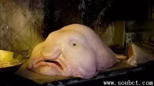 ��������������ʲô ˮ���㵽�����ж��