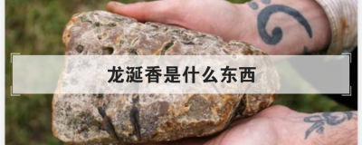 ��������ʲô���� �߱�����ʹ�ü�ֵ����Ϊ������