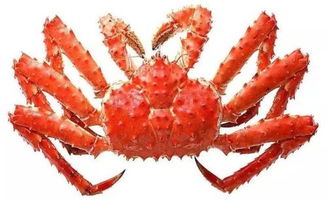 ����ʺ������ʺ������ ��״���������źܴ������