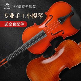 一般小提琴多少钱 一般的练习琴300