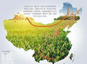 鹤山市属于哪个城市 是广东省江门市代管县级市