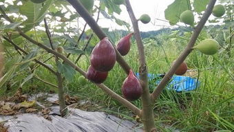 �潵��ľֵ����Ǯһ�� һ���������ʮ����